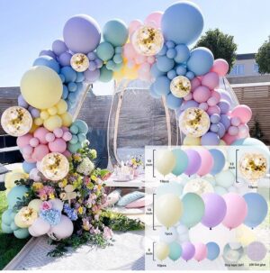 Macaron Pastel Balloon Garland Kit