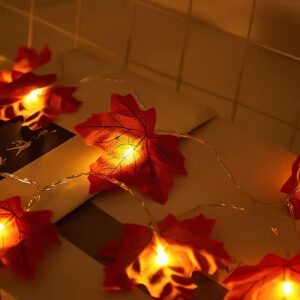 fall string lights