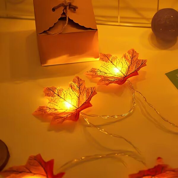 fall string lights