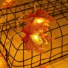 fall string lights
