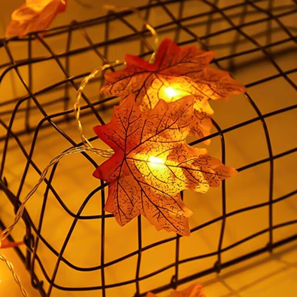 fall string lights