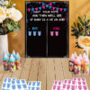 gender reveal